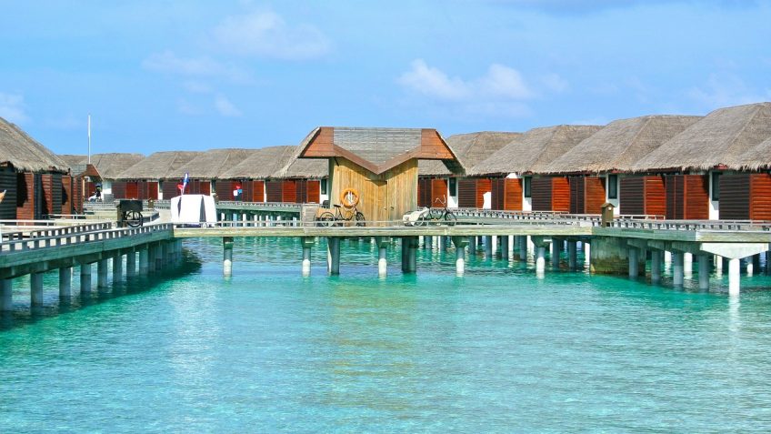Amazon Vacation Settings